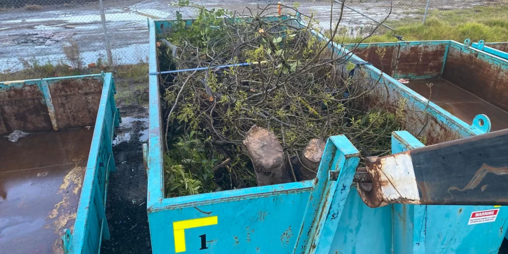 Top 5 Reasons to Hire a Skip Bin for Your Next Home Renovation
